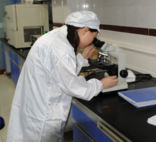 Lubricating grease mechanical impurities content determination (microscope)
